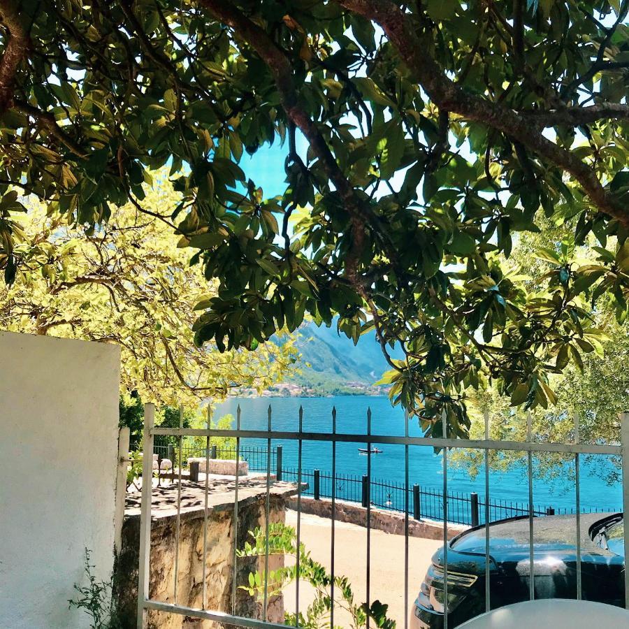 Lemon Tree Villa Котор Экстерьер фото