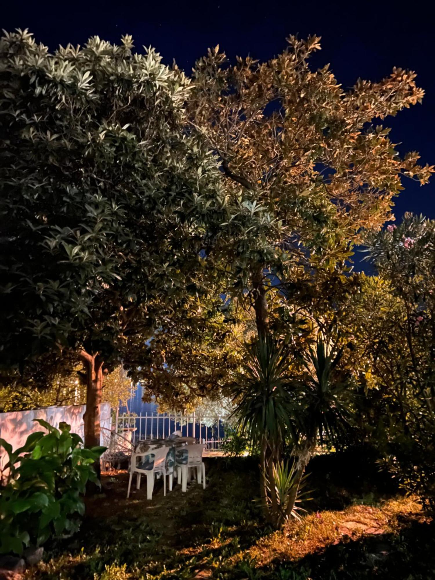 Lemon Tree Villa Котор Экстерьер фото