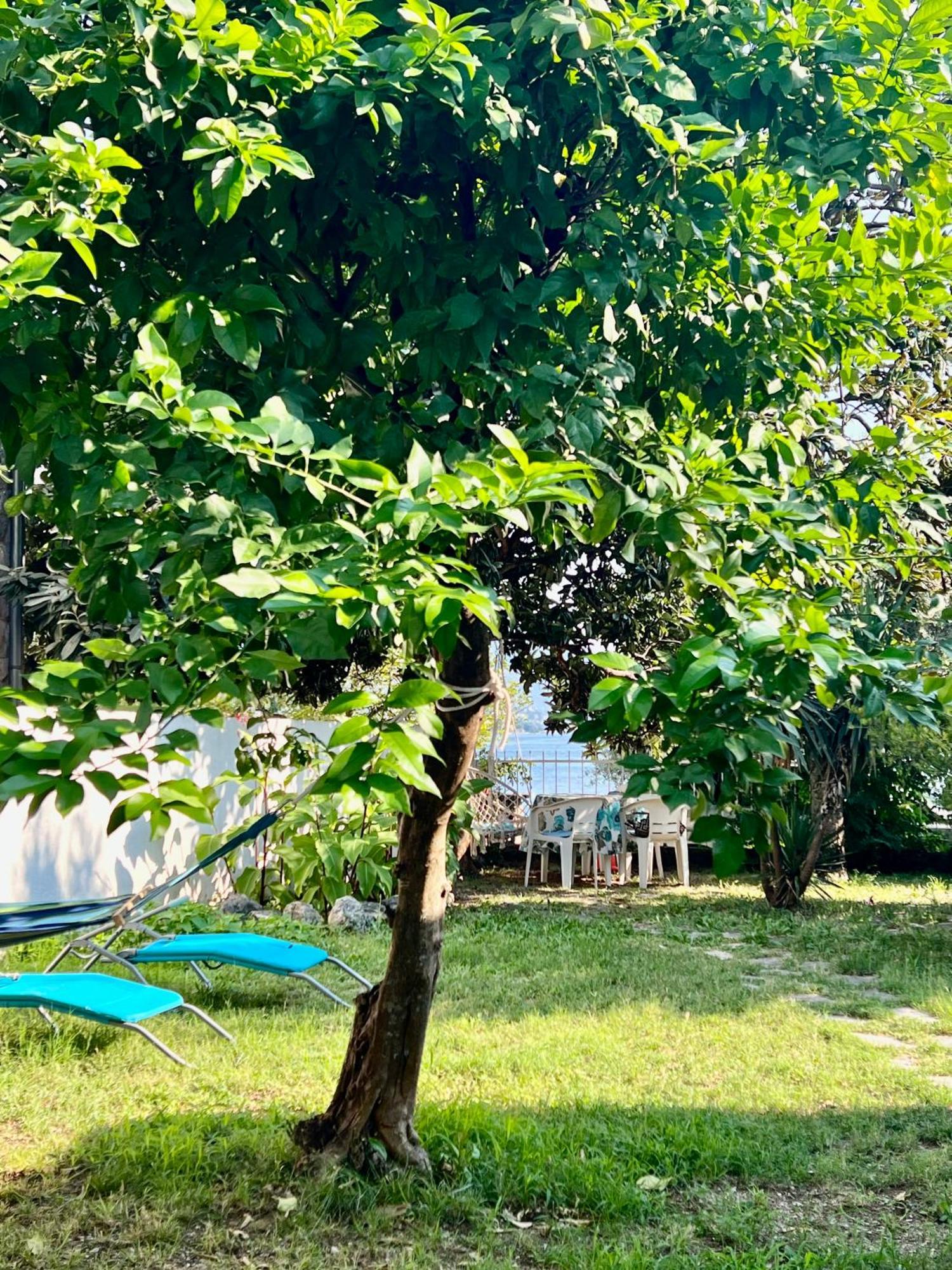Lemon Tree Villa Котор Экстерьер фото