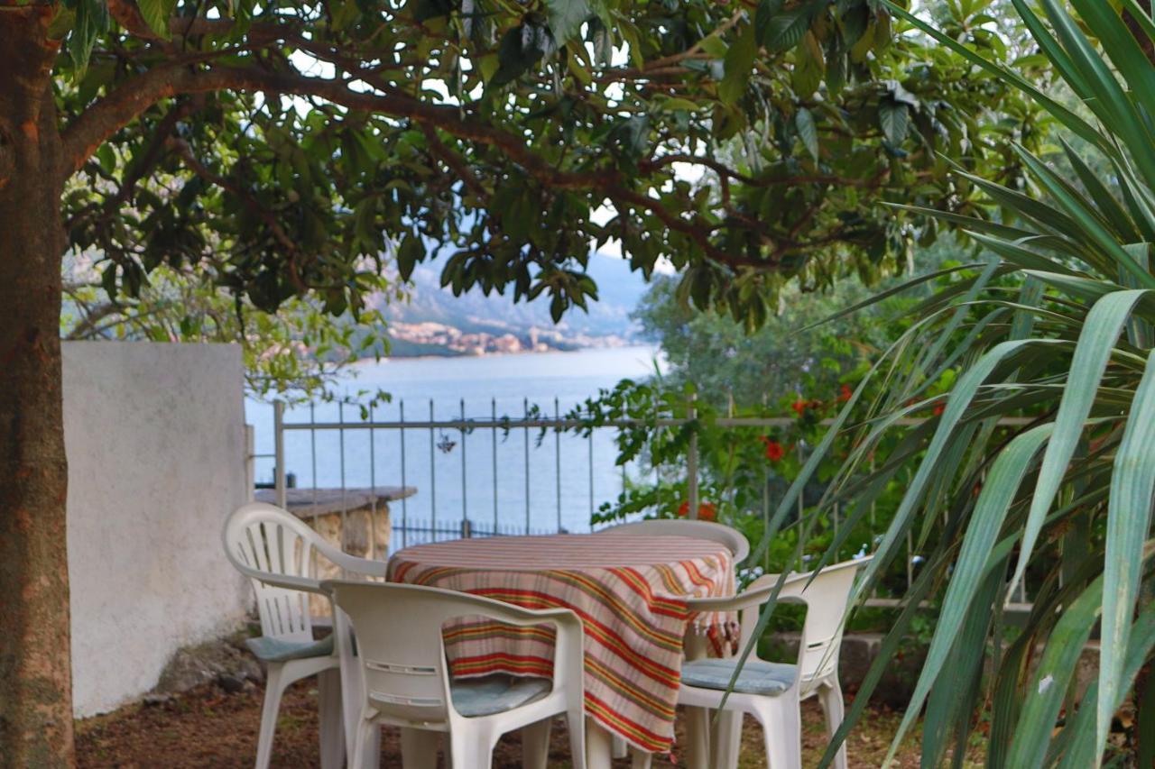 Lemon Tree Villa Котор Экстерьер фото